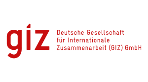 giz logo
